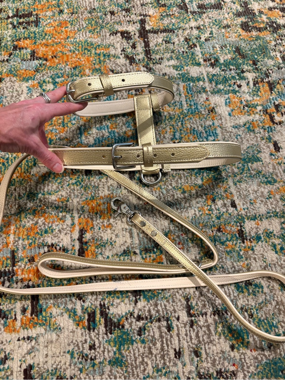 💎EXTREMELY RARE💎NWOT Martha Stewart Pets Gold Leather Harness And Leash